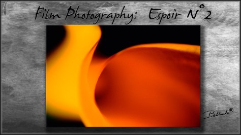 N°2 of 7 different images that make up the series entitled: Espoir Unedited Film Photography – Espoir Series – Espoir N°2 All rights reserved BELLANDA ®