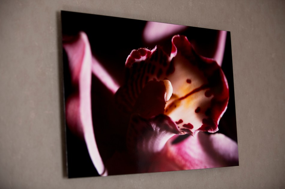 Evocative Frame choice: Floating Photograph on aluminum 60x43x3cm