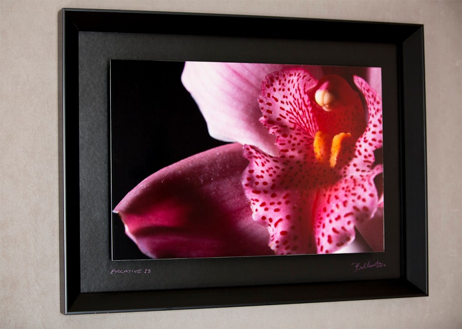 Evocative Frames - Unique design by Bellanda